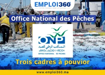 Recrutement ONP : Trois postes de cadres à pourvoir pour 2025